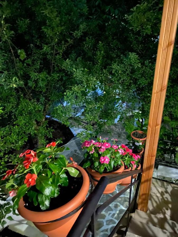 Sevastie'S Home Samothráki エクステリア 写真